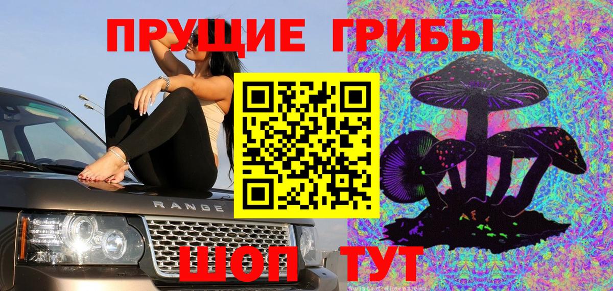 Псилоцибиновые грибы ЛСД  Вход с VPN  Псилоцибиновые грибы мухоморы  Мирный 